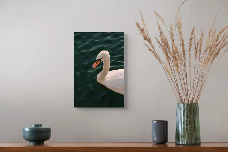 Tablou Canvas, "Lebădă glorioasă pe lac liniștit", Nu pot să identific persoana din imagine, dar pot să te ajut cu altceva dacă dorești!, 26 x 39 cm – poza 5