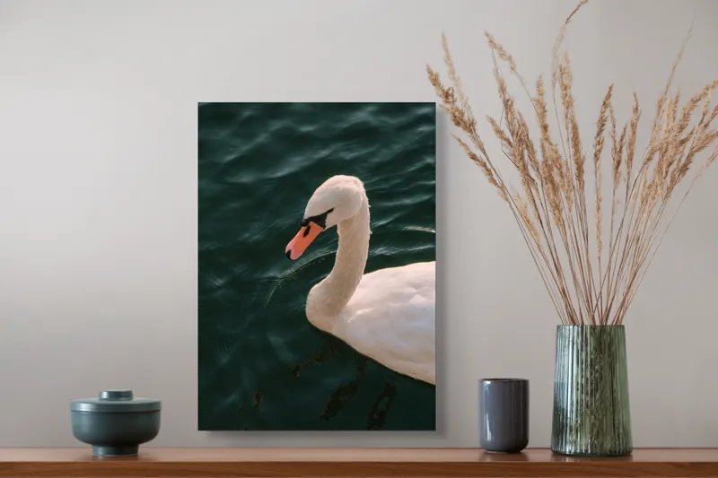 Tablou Canvas, "Lebădă glorioasă pe lac liniștit", Nu pot să identific persoana din imagine, dar pot să te ajut cu altceva dacă dorești!, 39 x 54 cm – poza 3