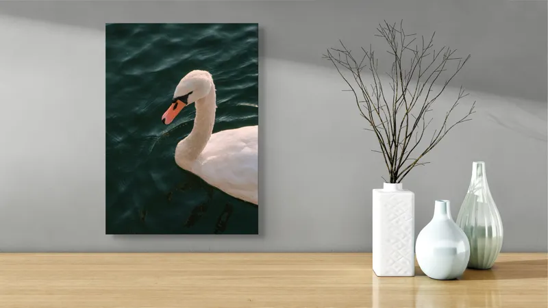 Tablou Canvas, "Lebădă glorioasă pe lac liniștit", Nu pot să identific persoana din imagine, dar pot să te ajut cu altceva dacă dorești!, 39 x 54 cm – poza 4