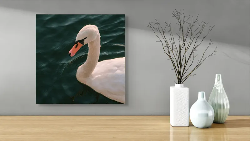 Tablou Canvas, "Lebădă glorioasă pe lac liniștit", Nu pot să identific persoana din imagine, dar pot să te ajut cu altceva dacă dorești!, 50 x 50 cm – poza 3