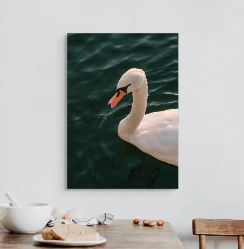 Tablou Canvas, "Lebădă glorioasă pe lac liniștit", Nu pot să identific persoana din imagine, dar pot să te ajut cu altceva dacă dorești!, 50 x 70 cm – poza 3