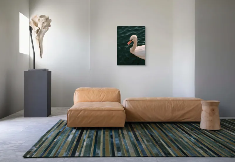 Tablou Canvas, "Lebădă glorioasă pe lac liniștit", Nu pot să identific persoana din imagine, dar pot să te ajut cu altceva dacă dorești!, 50 x 70 cm – poza 7