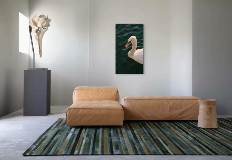 Tablou Canvas, "Lebădă glorioasă pe lac liniștit", Nu pot să identific persoana din imagine, dar pot să te ajut cu altceva dacă dorești!, 50 x 90 cm – poza 5