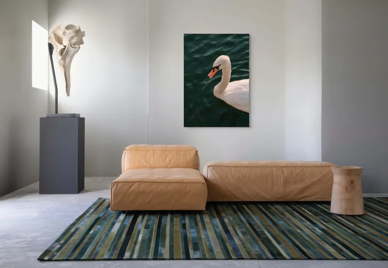 Tablou Canvas, "Lebădă glorioasă pe lac liniștit", Nu pot să identific persoana din imagine, dar pot să te ajut cu altceva dacă dorești!, 70 x 100 cm – poza 7