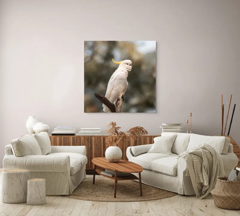 Tablou Canvas, "Cacadu regal pe ramură luminoasă", Cocor, Creastă, Alb, Ramură, Pene, Natură, Blândețe, 100 x 100 cm – poza 3
