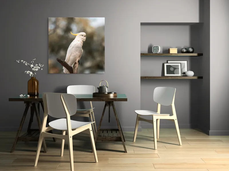 Tablou Canvas, "Cacadu regal pe ramură luminoasă", Cocor, Creastă, Alb, Ramură, Pene, Natură, Blândețe, 100 x 100 cm – poza 6