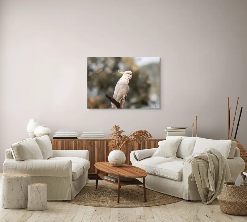 Tablou Canvas, "Cacadu regal pe ramură luminoasă", Cocor, Creastă, Alb, Ramură, Pene, Natură, Blândețe, 100 x 70 cm – poza 3