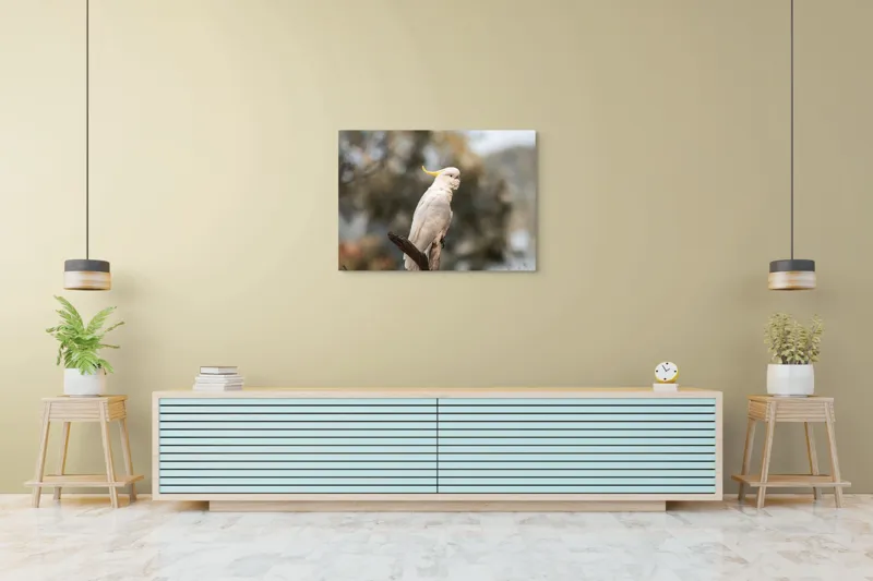Tablou Canvas, "Cacadu regal pe ramură luminoasă", Cocor, Creastă, Alb, Ramură, Pene, Natură, Blândețe, 100 x 70 cm – poza 4