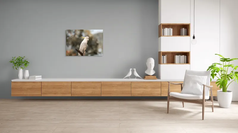 Tablou Canvas, "Cacadu regal pe ramură luminoasă", Cocor, Creastă, Alb, Ramură, Pene, Natură, Blândețe, 100 x 70 cm – poza 6