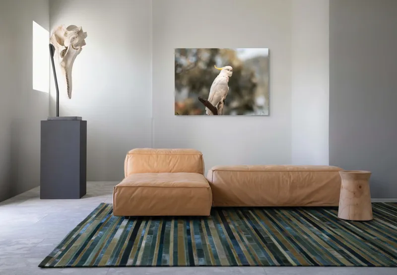 Tablou Canvas, "Cacadu regal pe ramură luminoasă", Cocor, Creastă, Alb, Ramură, Pene, Natură, Blândețe, 100 x 70 cm – poza 7