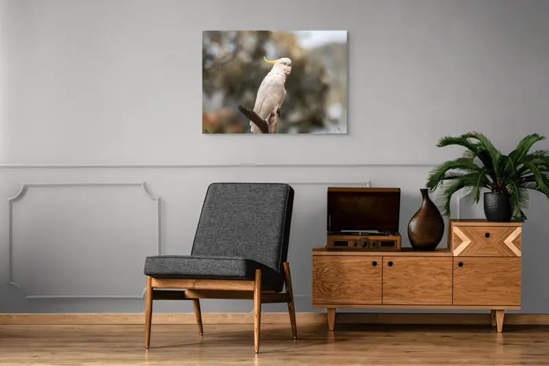 Tablou Canvas, "Cacadu regal pe ramură luminoasă", Cocor, Creastă, Alb, Ramură, Pene, Natură, Blândețe, 100 x 70 cm – poza 8