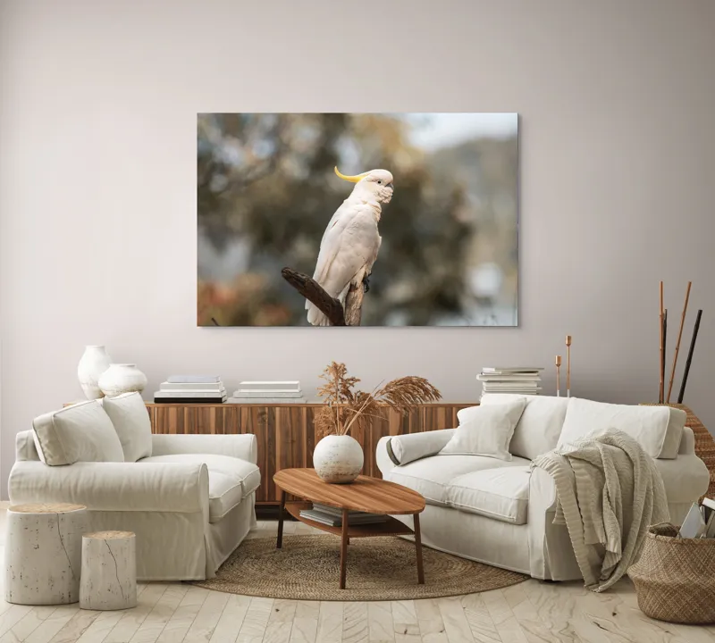 Tablou Canvas, "Cacadu regal pe ramură luminoasă", Cocor, Creastă, Alb, Ramură, Pene, Natură, Blândețe, 150 x 100 cm – poza 3