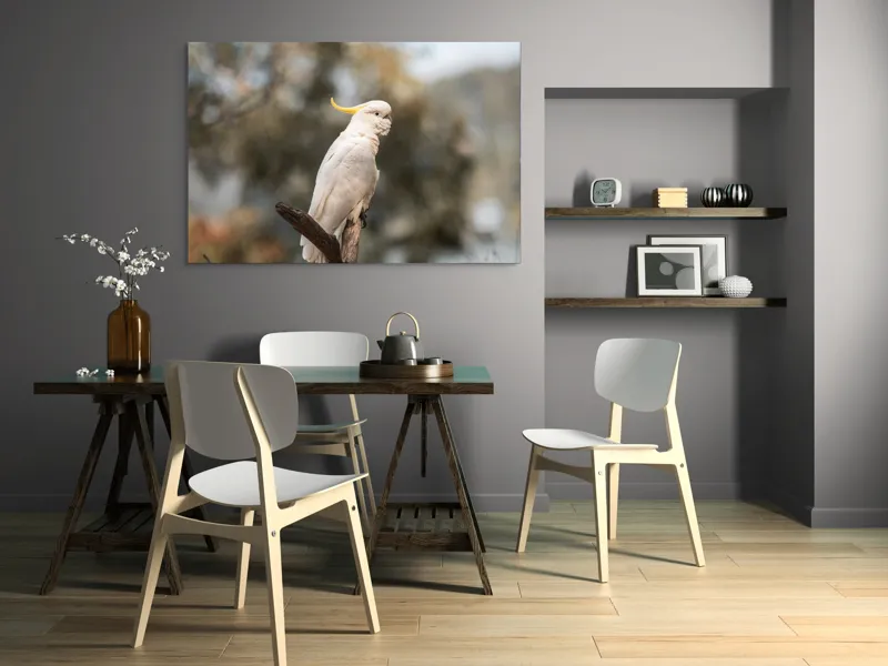 Tablou Canvas, "Cacadu regal pe ramură luminoasă", Cocor, Creastă, Alb, Ramură, Pene, Natură, Blândețe, 150 x 100 cm – poza 5