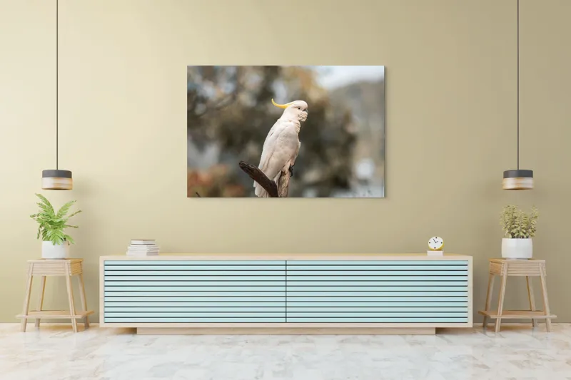 Tablou Canvas, "Cacadu regal pe ramură luminoasă", Cocor, Creastă, Alb, Ramură, Pene, Natură, Blândețe, 150 x 100 cm – poza 6