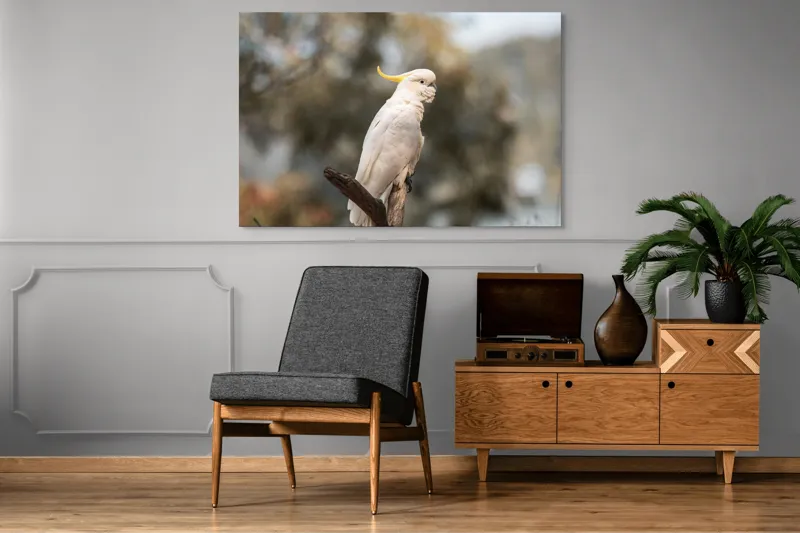 Tablou Canvas, "Cacadu regal pe ramură luminoasă", Cocor, Creastă, Alb, Ramură, Pene, Natură, Blândețe, 150 x 100 cm – poza 8