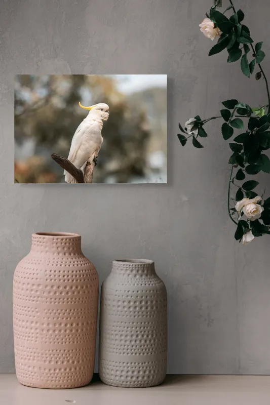 Tablou Canvas, "Cacadu regal pe ramură luminoasă", Cocor, Creastă, Alb, Ramură, Pene, Natură, Blândețe, 54 x 39 cm – poza 8