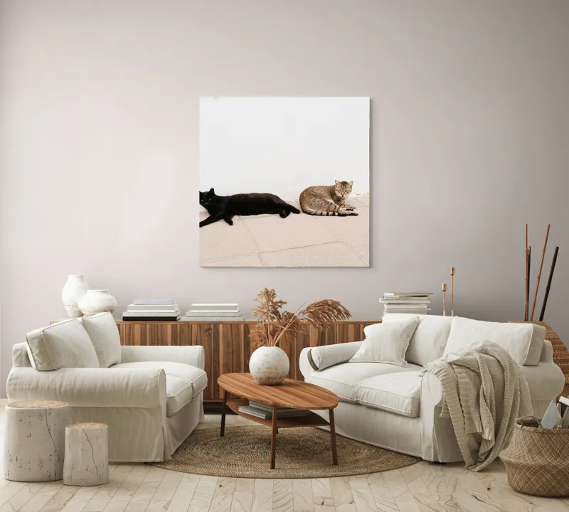 Tablou Canvas, "Două pisici leneșe la umbră", Pisici, Relaxare, Contrast, Pardoseală, Zid, 100 x 100 cm – poza 3