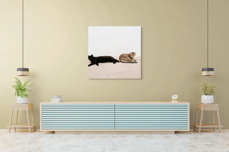 Tablou Canvas, "Două pisici leneșe la umbră", Pisici, Relaxare, Contrast, Pardoseală, Zid, 100 x 100 cm – poza 5