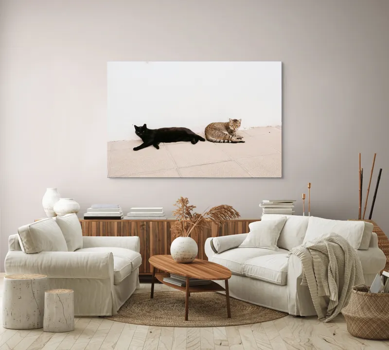 Tablou Canvas, "Două pisici leneșe la umbră", Pisici, Relaxare, Contrast, Pardoseală, Zid, 150 x 100 cm – poza 3