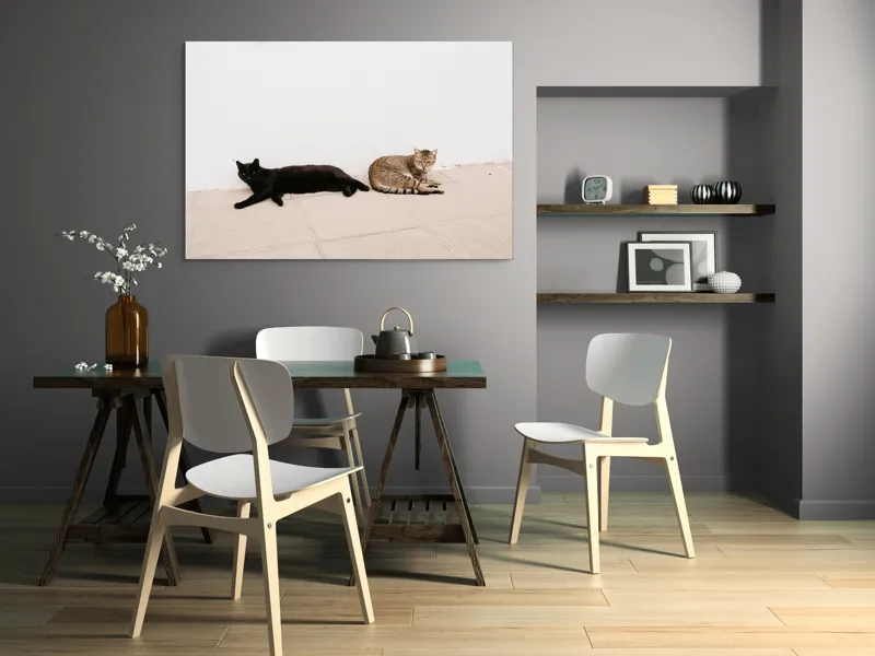 Tablou Canvas, "Două pisici leneșe la umbră", Pisici, Relaxare, Contrast, Pardoseală, Zid, 150 x 100 cm – poza 5