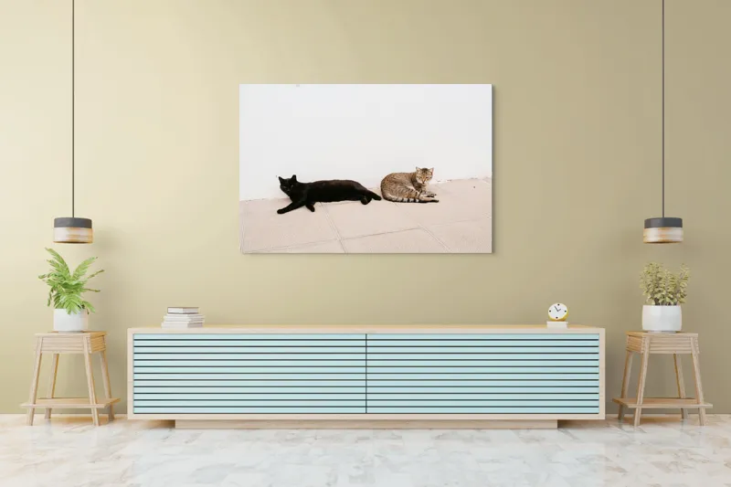 Tablou Canvas, "Două pisici leneșe la umbră", Pisici, Relaxare, Contrast, Pardoseală, Zid, 150 x 100 cm – poza 6