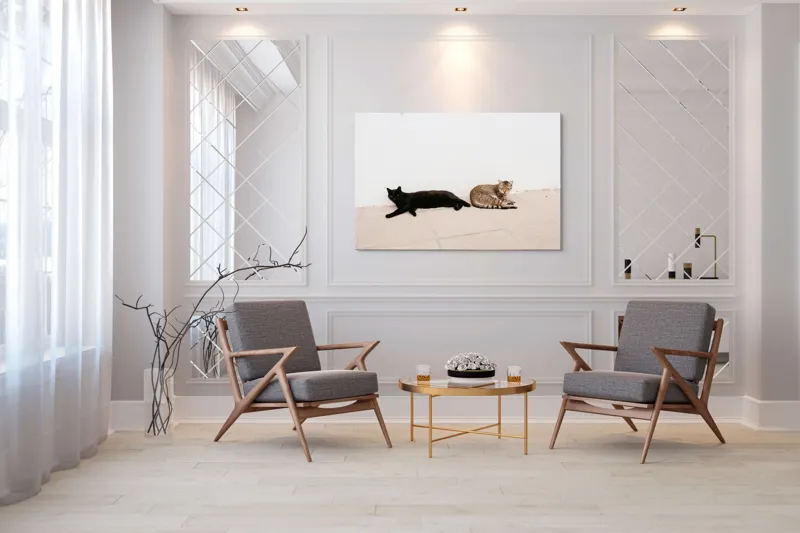 Tablou Canvas, "Două pisici leneșe la umbră", Pisici, Relaxare, Contrast, Pardoseală, Zid, 150 x 100 cm – poza 7