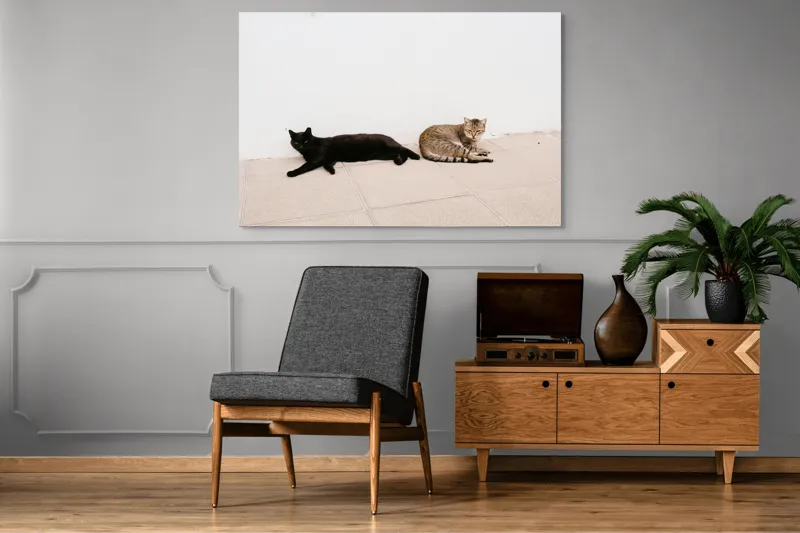Tablou Canvas, "Două pisici leneșe la umbră", Pisici, Relaxare, Contrast, Pardoseală, Zid, 150 x 100 cm – poza 8