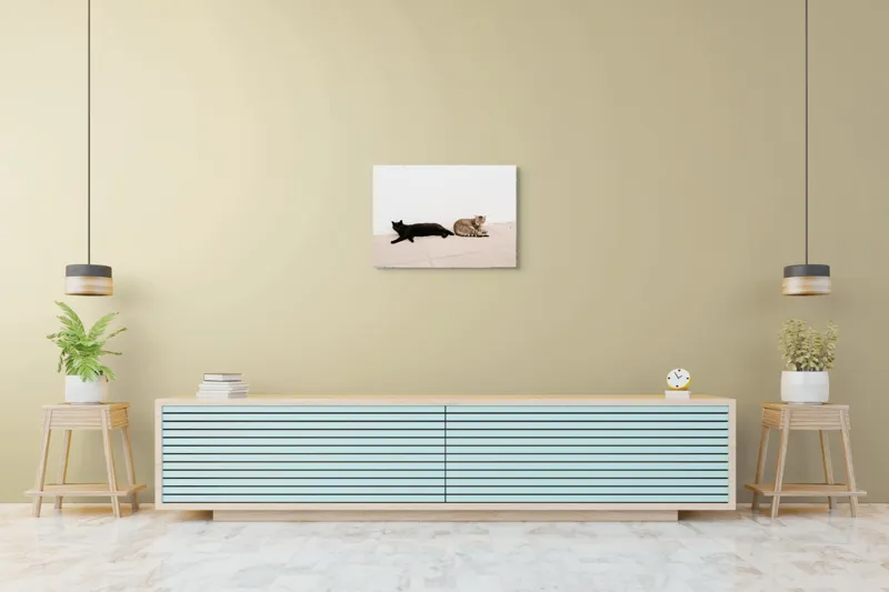 Tablou Canvas, "Două pisici leneșe la umbră", Pisici, Relaxare, Contrast, Pardoseală, Zid, 70 x 50 cm – poza 7