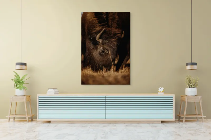 Tablou Canvas, "Bizonul pășcă liniștit în amurg", Bizon, Blană, Iarbă, Pământie, Natură, Corn, Privire, Animal, Sălbatic, 100 x 150 cm – poza 4