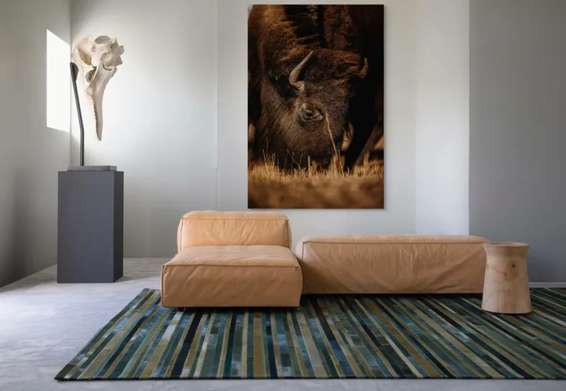 Tablou Canvas, "Bizonul pășcă liniștit în amurg", Bizon, Blană, Iarbă, Pământie, Natură, Corn, Privire, Animal, Sălbatic, 100 x 150 cm – poza 7