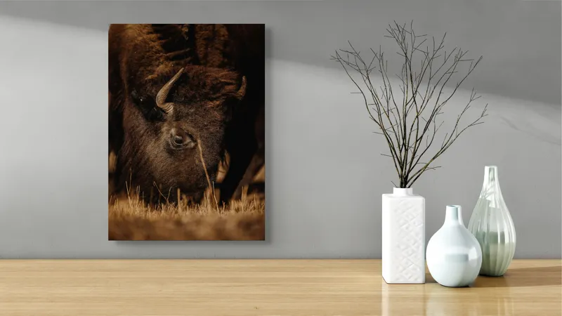 Tablou Canvas, "Bizonul pășcă liniștit în amurg", Bizon, Blană, Iarbă, Pământie, Natură, Corn, Privire, Animal, Sălbatic, 39 x 54 cm – poza 4