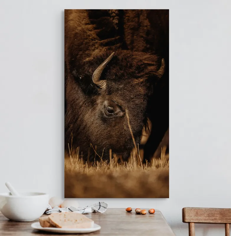 Tablou Canvas, "Bizonul pășcă liniștit în amurg", Bizon, Blană, Iarbă, Pământie, Natură, Corn, Privire, Animal, Sălbatic, 50 x 90 cm – poza 3
