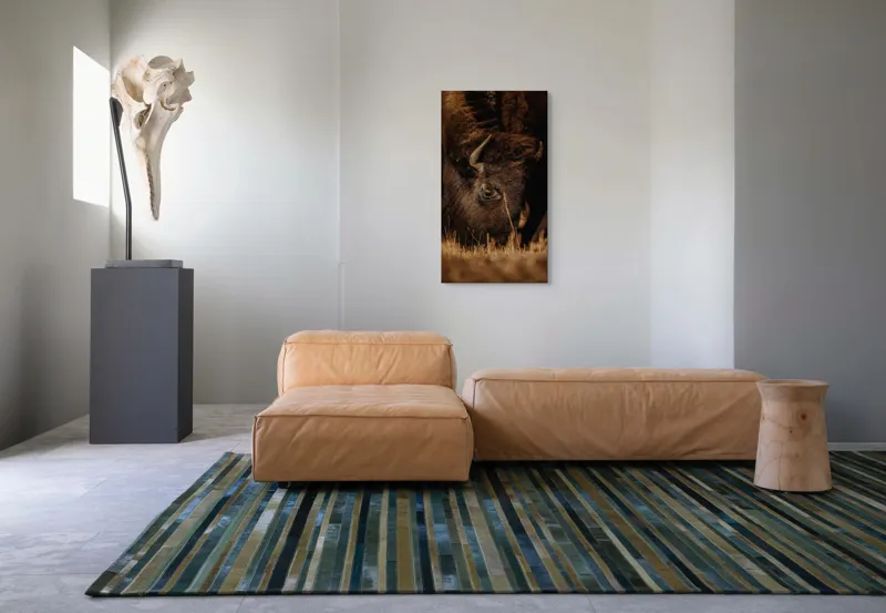 Tablou Canvas, "Bizonul pășcă liniștit în amurg", Bizon, Blană, Iarbă, Pământie, Natură, Corn, Privire, Animal, Sălbatic, 50 x 90 cm – poza 5