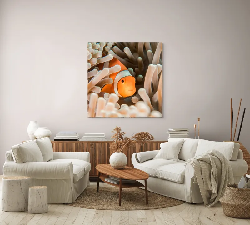 Tablou Canvas, "Peștele clown ascuns în anemonele marine", Clovn, Portocaliu, Anemone, Ocean, Ascunzătoare, Dungi, Apa, Lumină, Viață, Marină, 100 x 100 cm – poza 3