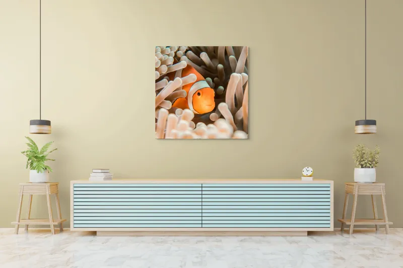 Tablou Canvas, "Peștele clown ascuns în anemonele marine", Clovn, Portocaliu, Anemone, Ocean, Ascunzătoare, Dungi, Apa, Lumină, Viață, Marină, 100 x 100 cm – poza 5