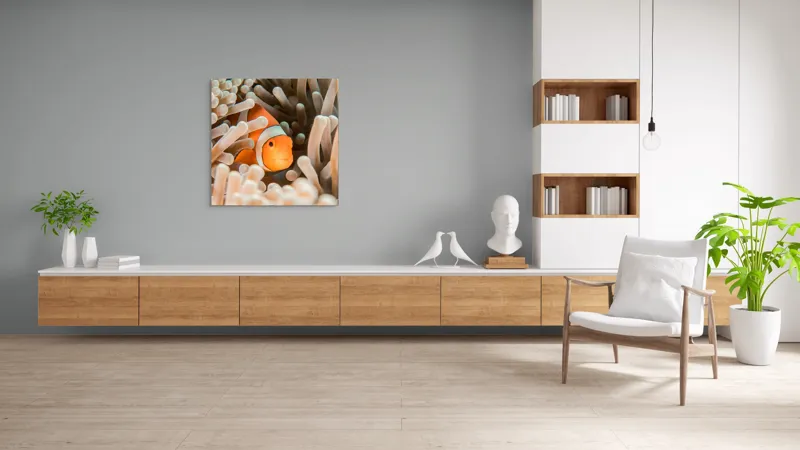 Tablou Canvas, "Peștele clown ascuns în anemonele marine", Clovn, Portocaliu, Anemone, Ocean, Ascunzătoare, Dungi, Apa, Lumină, Viață, Marină, 100 x 100 cm – poza 8