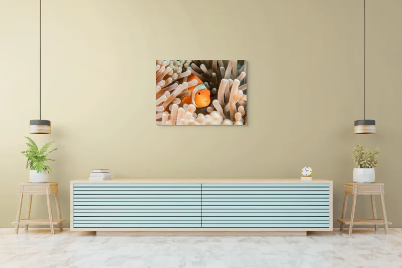 Tablou Canvas, "Peștele clown ascuns în anemonele marine", Clovn, Portocaliu, Anemone, Ocean, Ascunzătoare, Dungi, Apa, Lumină, Viață, Marină, 100 x 70 cm – poza 4