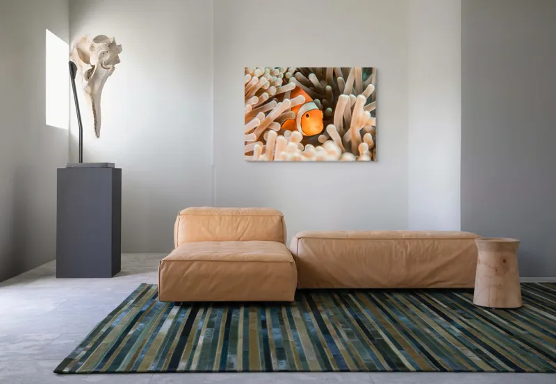Tablou Canvas, "Peștele clown ascuns în anemonele marine", Clovn, Portocaliu, Anemone, Ocean, Ascunzătoare, Dungi, Apa, Lumină, Viață, Marină, 100 x 70 cm – poza 7