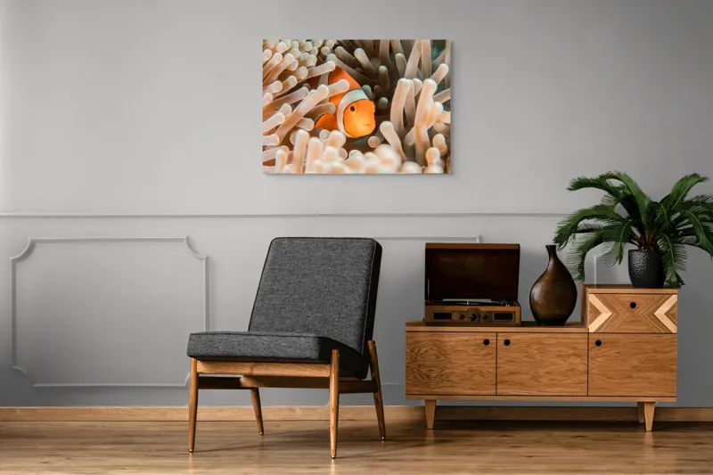 Tablou Canvas, "Peștele clown ascuns în anemonele marine", Clovn, Portocaliu, Anemone, Ocean, Ascunzătoare, Dungi, Apa, Lumină, Viață, Marină, 100 x 70 cm – poza 8