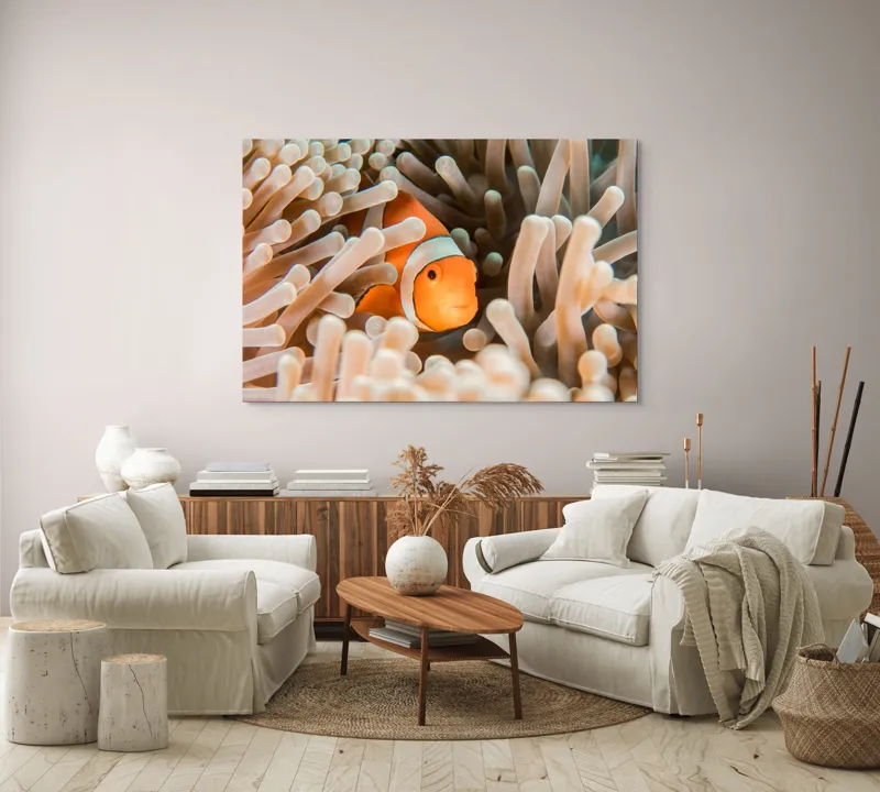 Tablou Canvas, "Peștele clown ascuns în anemonele marine", Clovn, Portocaliu, Anemone, Ocean, Ascunzătoare, Dungi, Apa, Lumină, Viață, Marină, 150 x 100 cm – poza 3