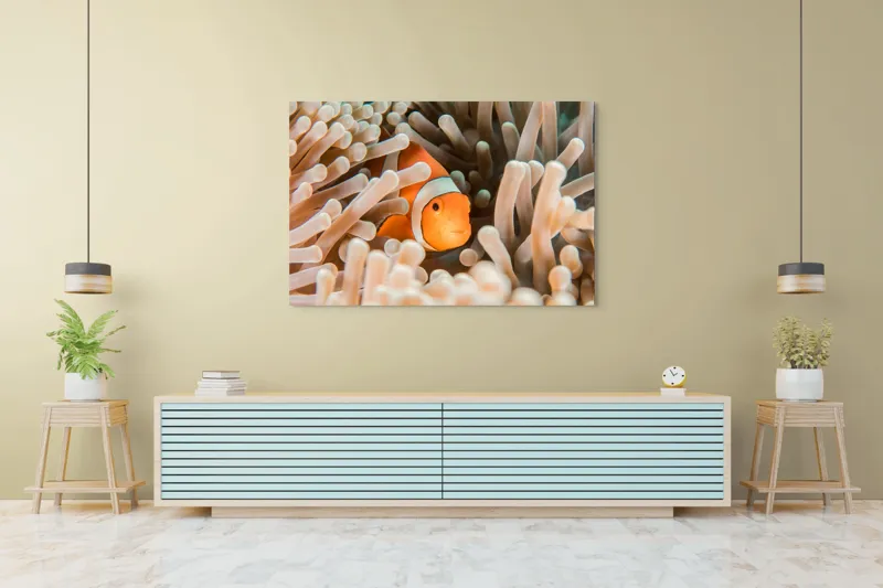 Tablou Canvas, "Peștele clown ascuns în anemonele marine", Clovn, Portocaliu, Anemone, Ocean, Ascunzătoare, Dungi, Apa, Lumină, Viață, Marină, 150 x 100 cm – poza 6