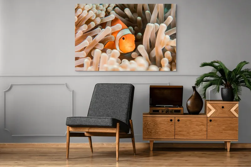 Tablou Canvas, "Peștele clown ascuns în anemonele marine", Clovn, Portocaliu, Anemone, Ocean, Ascunzătoare, Dungi, Apa, Lumină, Viață, Marină, 150 x 100 cm – poza 8