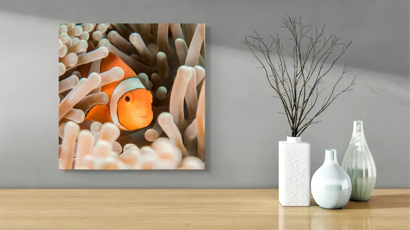 Tablou Canvas, "Peștele clown ascuns în anemonele marine", Clovn, Portocaliu, Anemone, Ocean, Ascunzătoare, Dungi, Apa, Lumină, Viață, Marină, 50 x 50 cm – poza 3