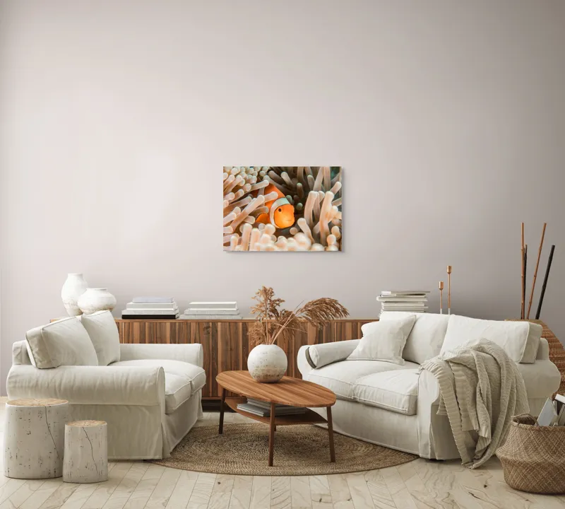 Tablou Canvas, "Peștele clown ascuns în anemonele marine", Clovn, Portocaliu, Anemone, Ocean, Ascunzătoare, Dungi, Apa, Lumină, Viață, Marină, 70 x 50 cm – poza 6