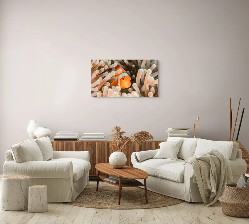 Tablou Canvas, "Peștele clown ascuns în anemonele marine", Clovn, Portocaliu, Anemone, Ocean, Ascunzătoare, Dungi, Apa, Lumină, Viață, Marină, 90 x 50 cm – poza 4