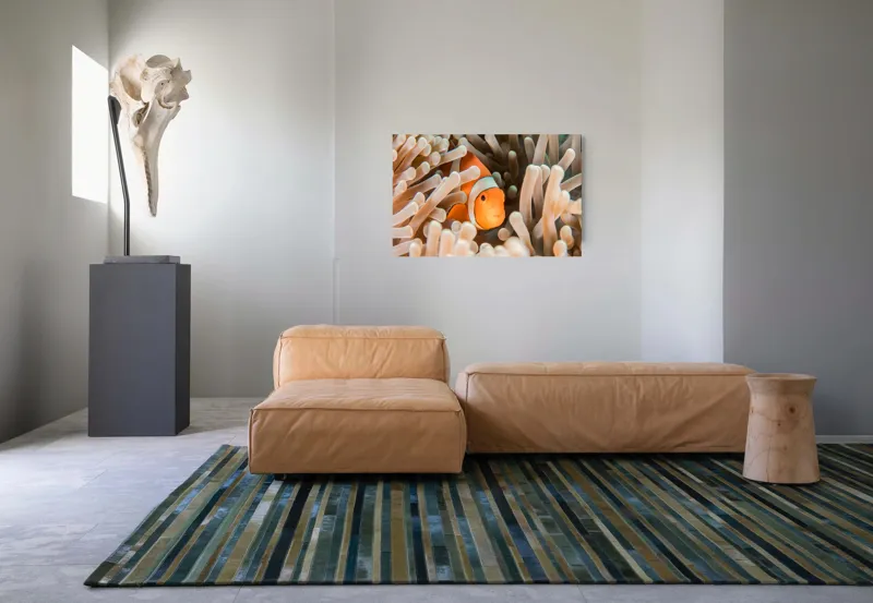 Tablou Canvas, "Peștele clown ascuns în anemonele marine", Clovn, Portocaliu, Anemone, Ocean, Ascunzătoare, Dungi, Apa, Lumină, Viață, Marină, 90 x 50 cm – poza 8