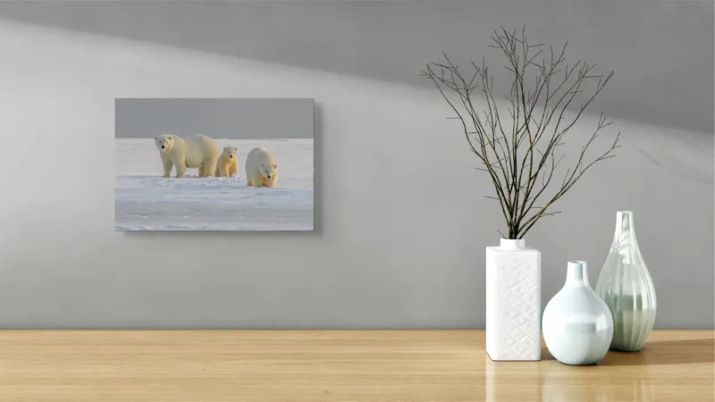 Tablou Canvas, "Familie de urși polari în zăpadă", Urs, Zăpadă, Familial, Frig, Grijă, Explorare, Peisaj, Polar, 39 x 26 cm – poza 8