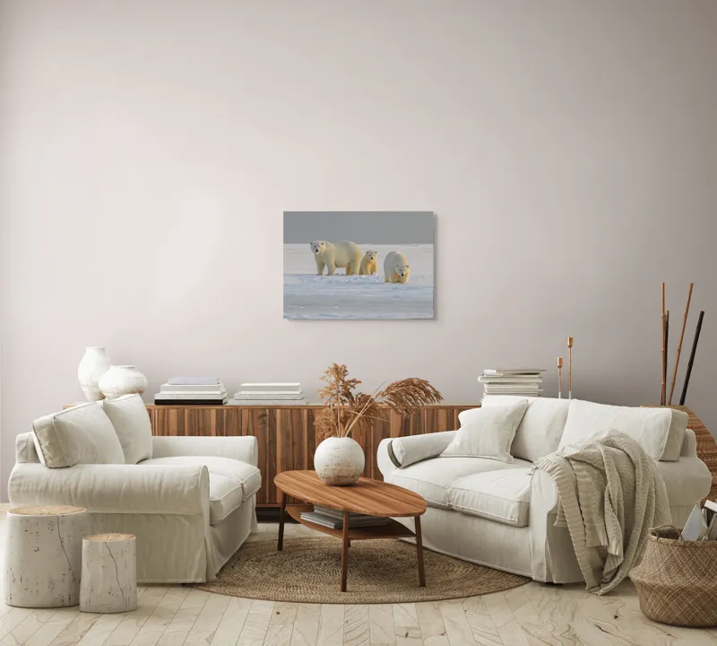 Tablou Canvas, "Familie de urși polari în zăpadă", Urs, Zăpadă, Familial, Frig, Grijă, Explorare, Peisaj, Polar, 70 x 50 cm – poza 6