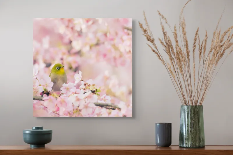 Tablou Canvas, "Pasărea printre flori de cireș", Blând, Primăvară, Delicatețe, Serenitate, Natură, Frumusețe, Puritate, 50 x 50 cm – poza 4
