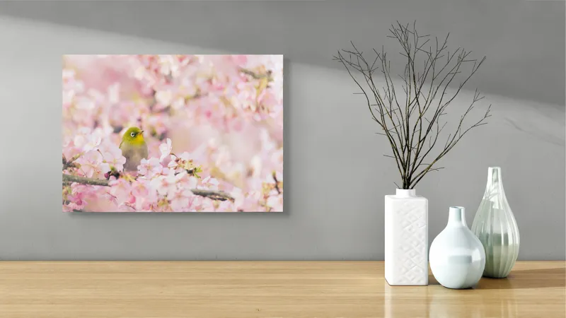 Tablou Canvas, "Pasărea printre flori de cireș", Blând, Primăvară, Delicatețe, Serenitate, Natură, Frumusețe, Puritate, 54 x 39 cm – poza 3